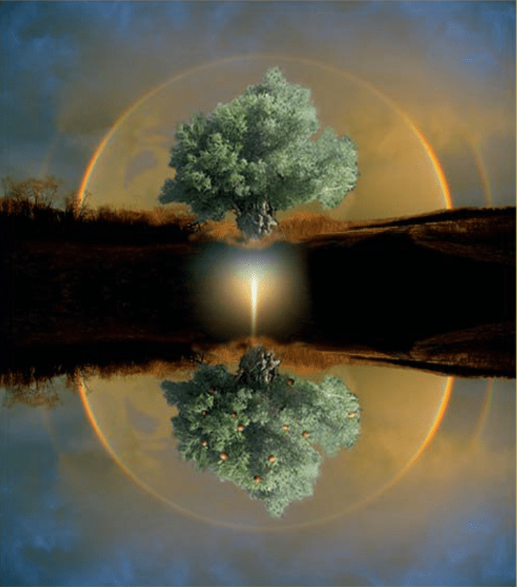 Screen Shot 2017-07-12 at 23.08.30